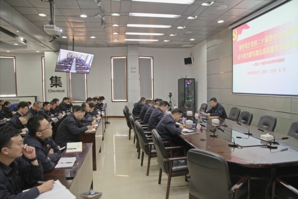 集團(tuán)公司黨委書記、董事長、總經(jīng)理趙強(qiáng)專題宣講黨的二十屆四中全會精神